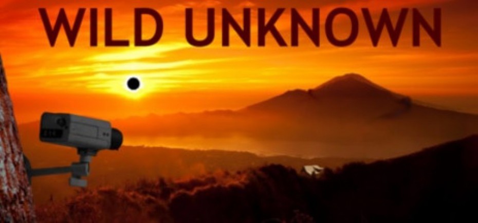 Niezależna przygodówka Wild Unknown trafiła na Steam