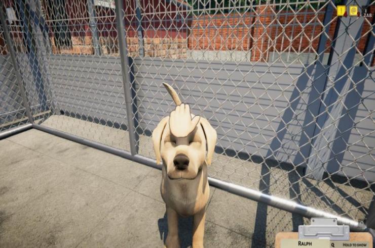 Animal Shelter zadebiutowało na Steam, zapowiedziano Marauders, MSI z nową porcją Niechaj Force Będzie z Tobą - Krótkie Info