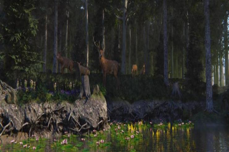 Demo Birding Simulator jest już dostępne na Festiwalu Symulatorów