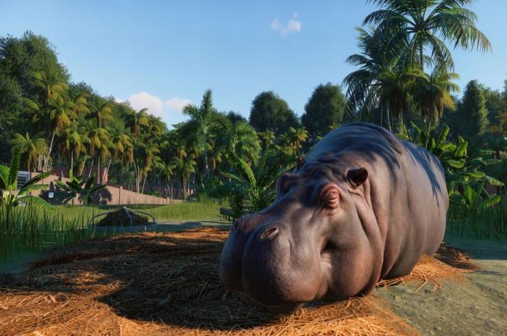 E3 2019 - Planet Zoo stawia na nowoczesne zoo