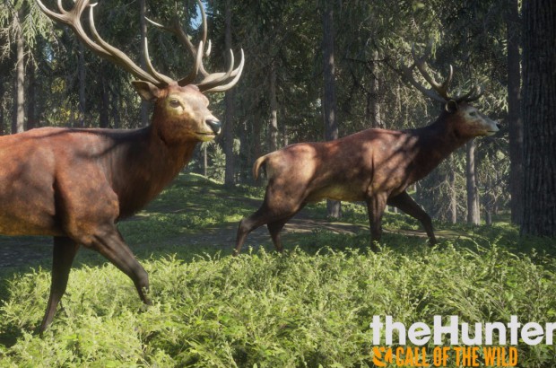 The Hunter: The Call of Wild zadebiutuje już w przyszłym miesiącu