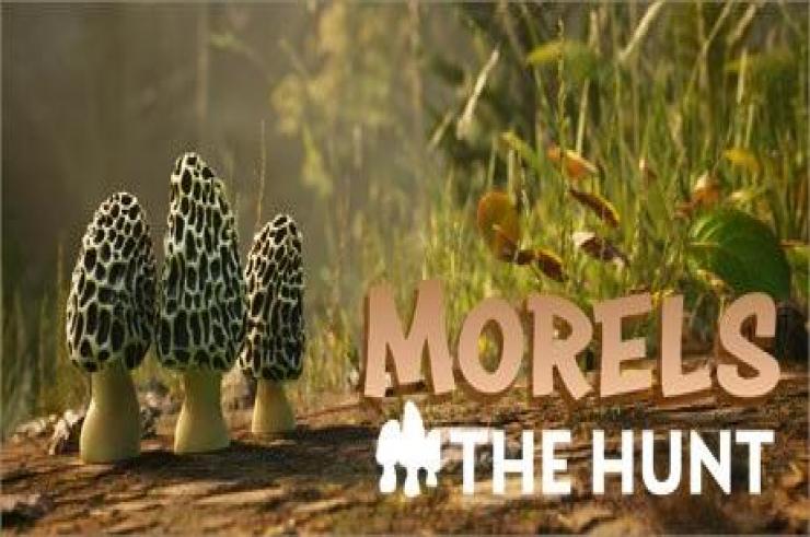 Morels: The Hunt, jesienny sezon grzybowy trwa nawet w przygodówkach