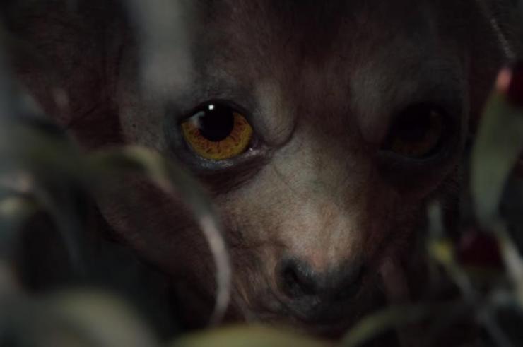 Wiedźmin, Halloween Geralda.  Netflix pokazuje wiedźmińskie potwory i wprowadza pierwszy wideo klip z drugiego sezonu serialu
