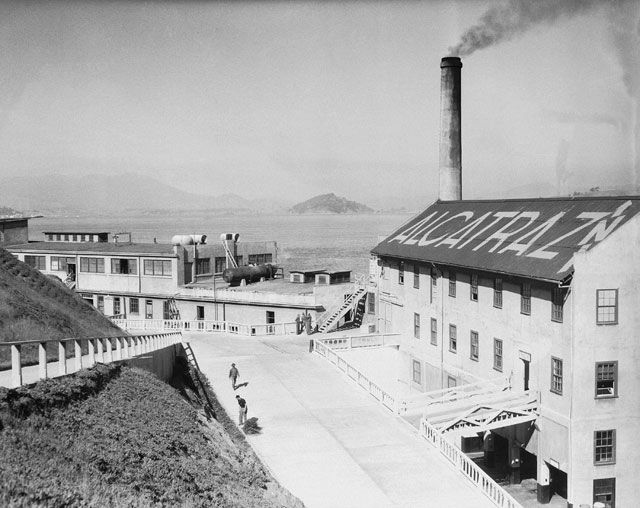 zdjęcie alcatraz